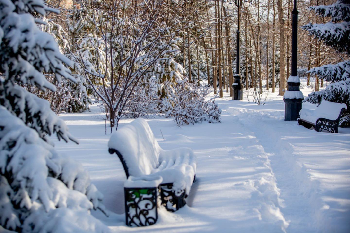 Усть-Каменогорск и ВКО / ШҚО-да ертең қар жауып, бұрқасын соғады