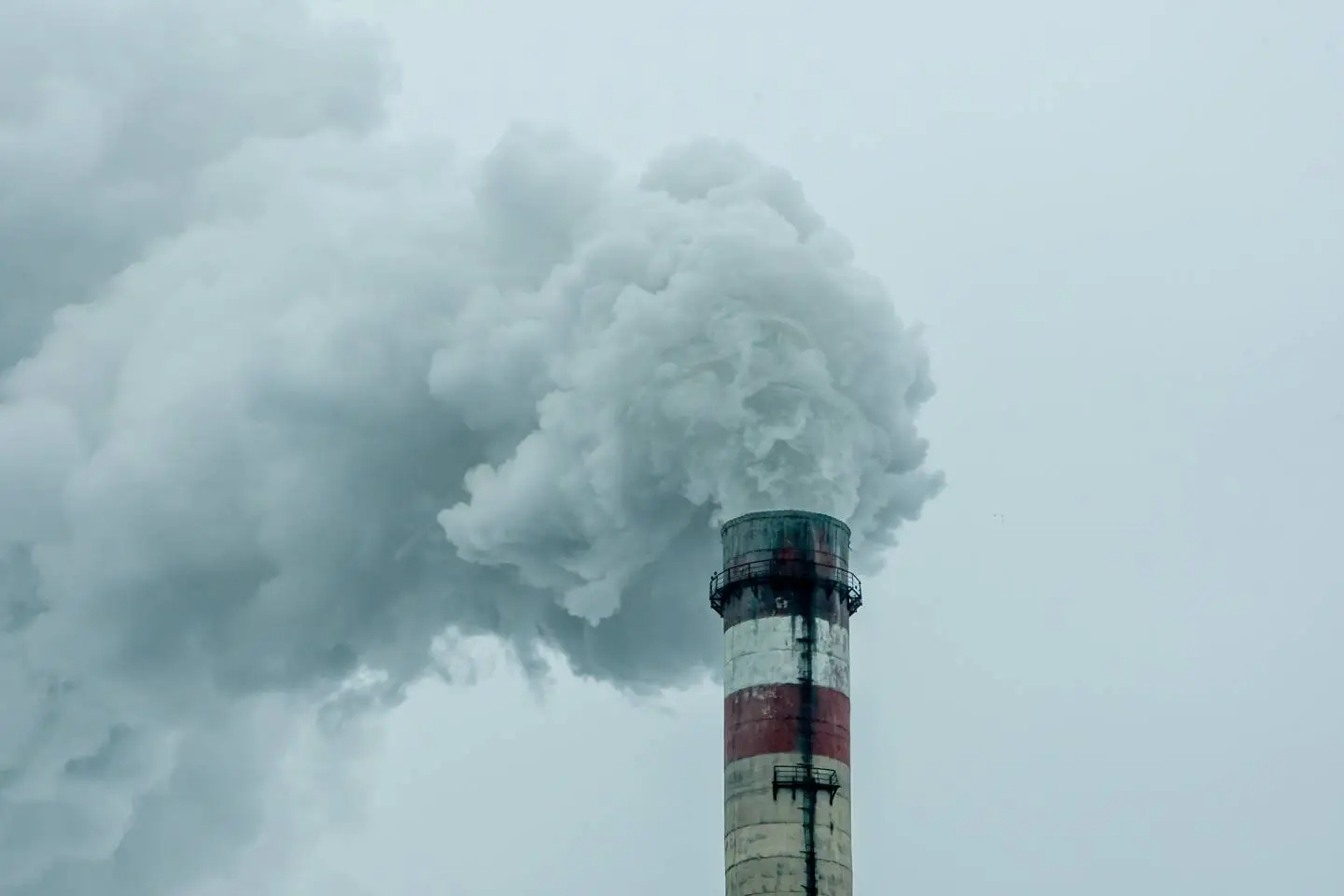 Усть-Каменогорск и ВКО / Усть-Каменогорск / НМУ второй степени ожидаются в Усть-Каменогорске