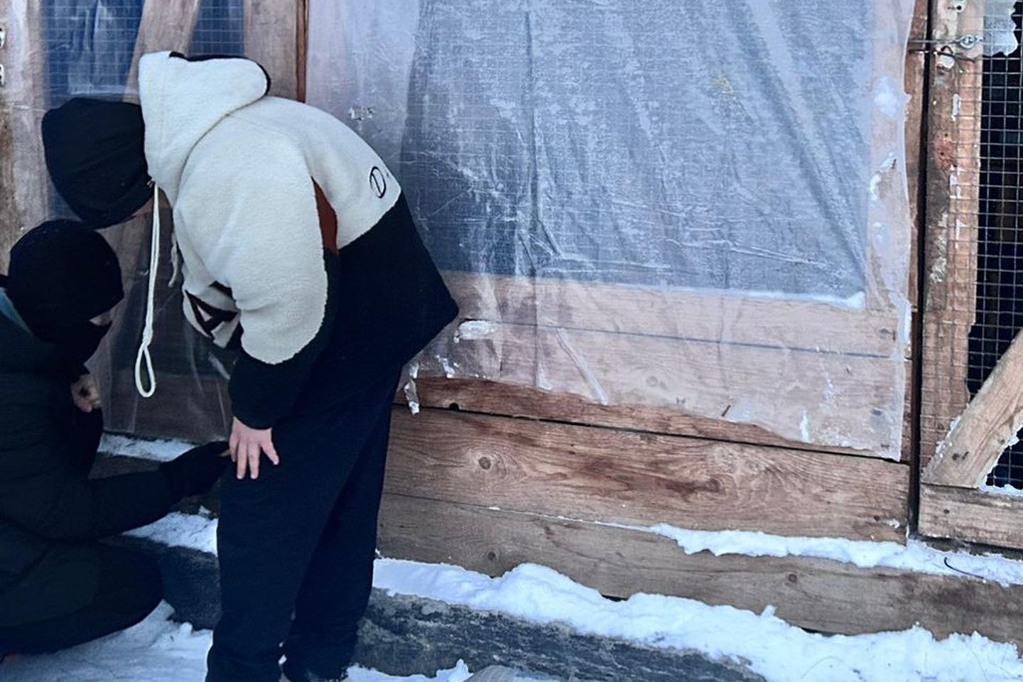 Усть-Каменогорск и ВКО / Школьники и студенты Риддера помогают утеплять будки для бездомных животных