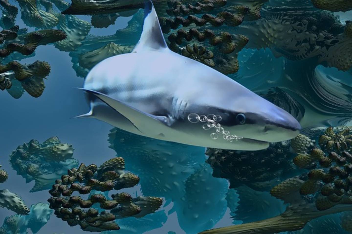 Новости мира / Интересные новости / Впервые почти за 200 лет акула напала на человека в Британии