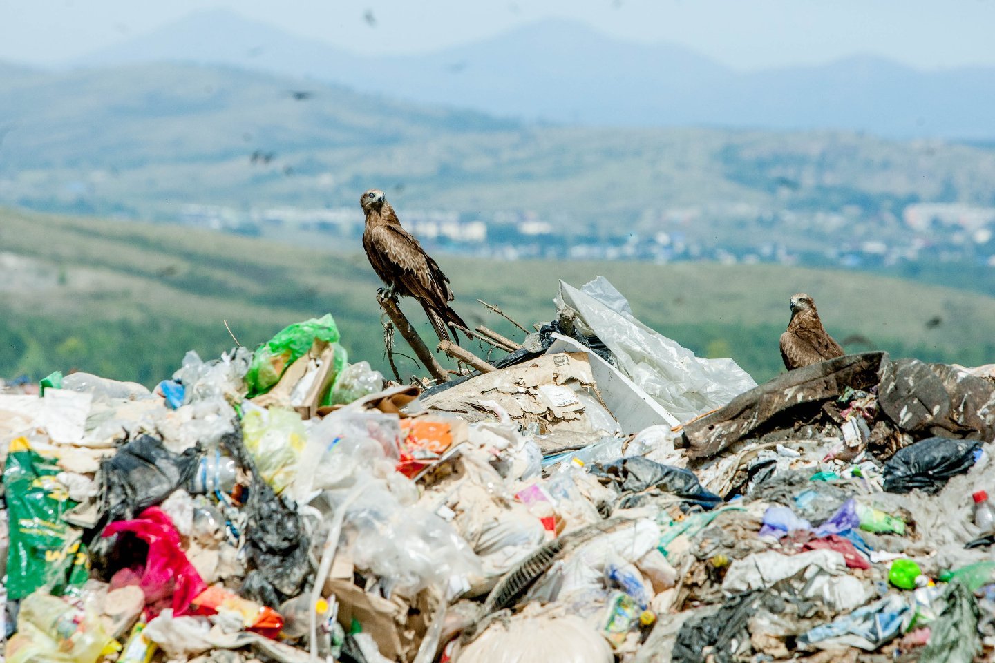 Новости Казахстана / Общество в Казахстане / С 1 октября в два раза поднимут тариф на вывоз мусора в Усть-Каменогорске