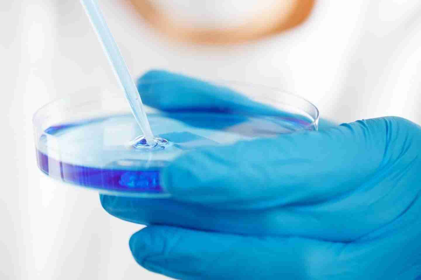 Новости Казахстана / Общество в Казахстане / В Казахстане выросло финансирование науки