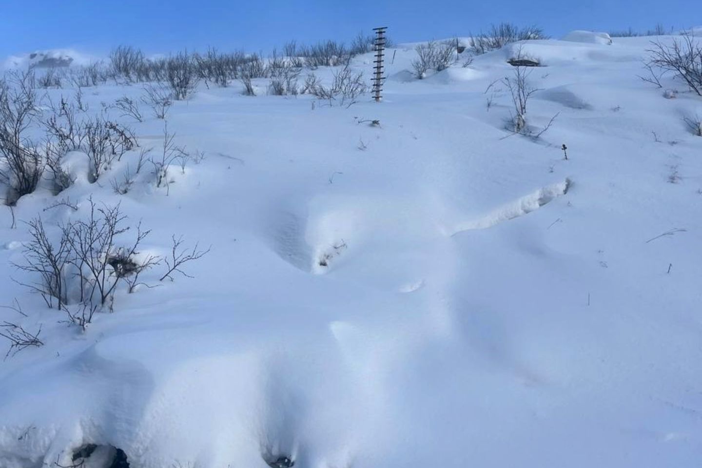 Усть-Каменогорск и ВКО / Спасатели ВКО проверили склоны гор
