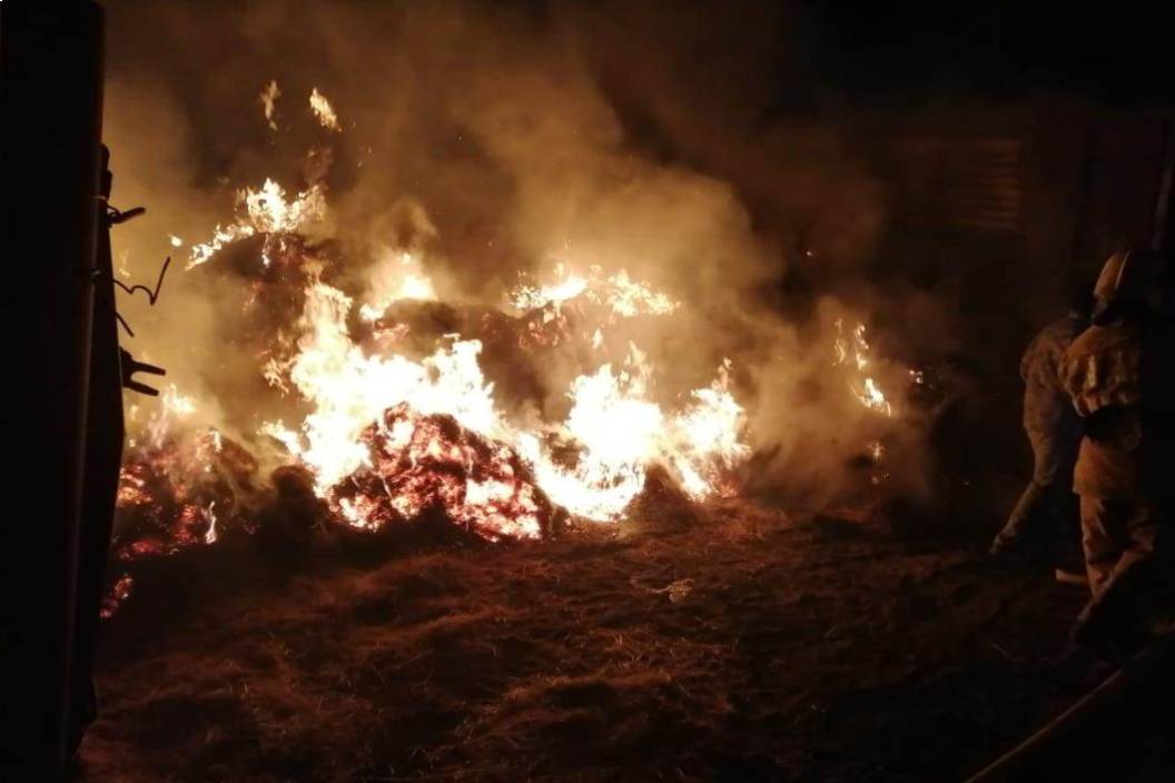 Происшествия в Казахстане и мире / Трое детей погибли в результате возгорания сена в Атырауской области