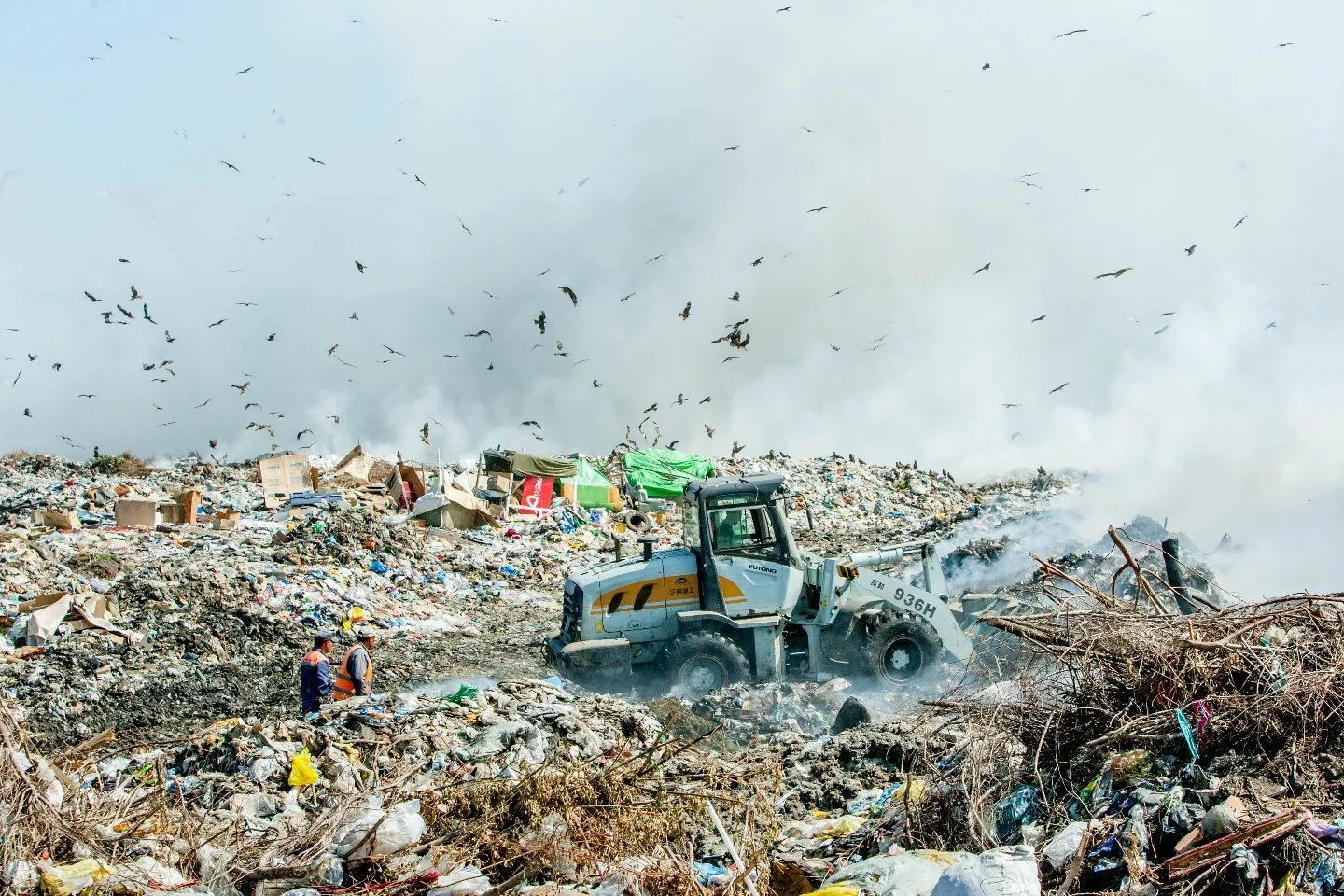 Новости Казахстана / Общество в Казахстане / Экологи: в Усть-Каменогорске программа по раздельному сбору мусора провалена