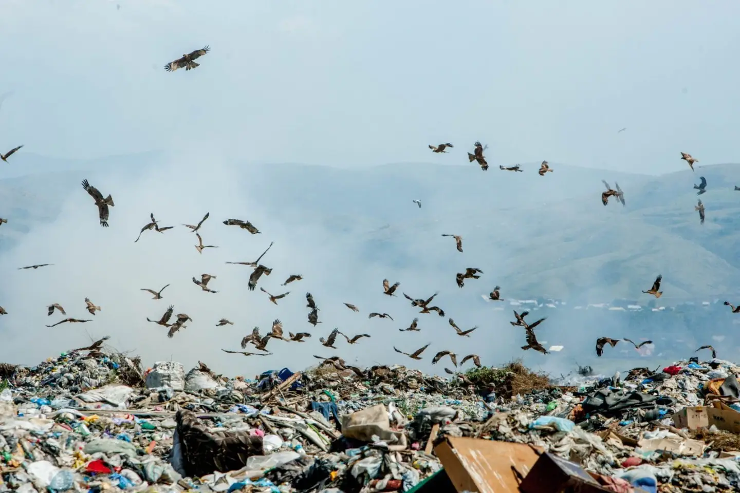 Усть-Каменогорск и ВКО / Мусорный бум: по ВКО в сфере ТБО стартуют два инвестиционных проекта Усть-Каменогорск и ВКО / Мусорный бум: по ВКО в сфере ТБО стартуют два инвестиционных проекта