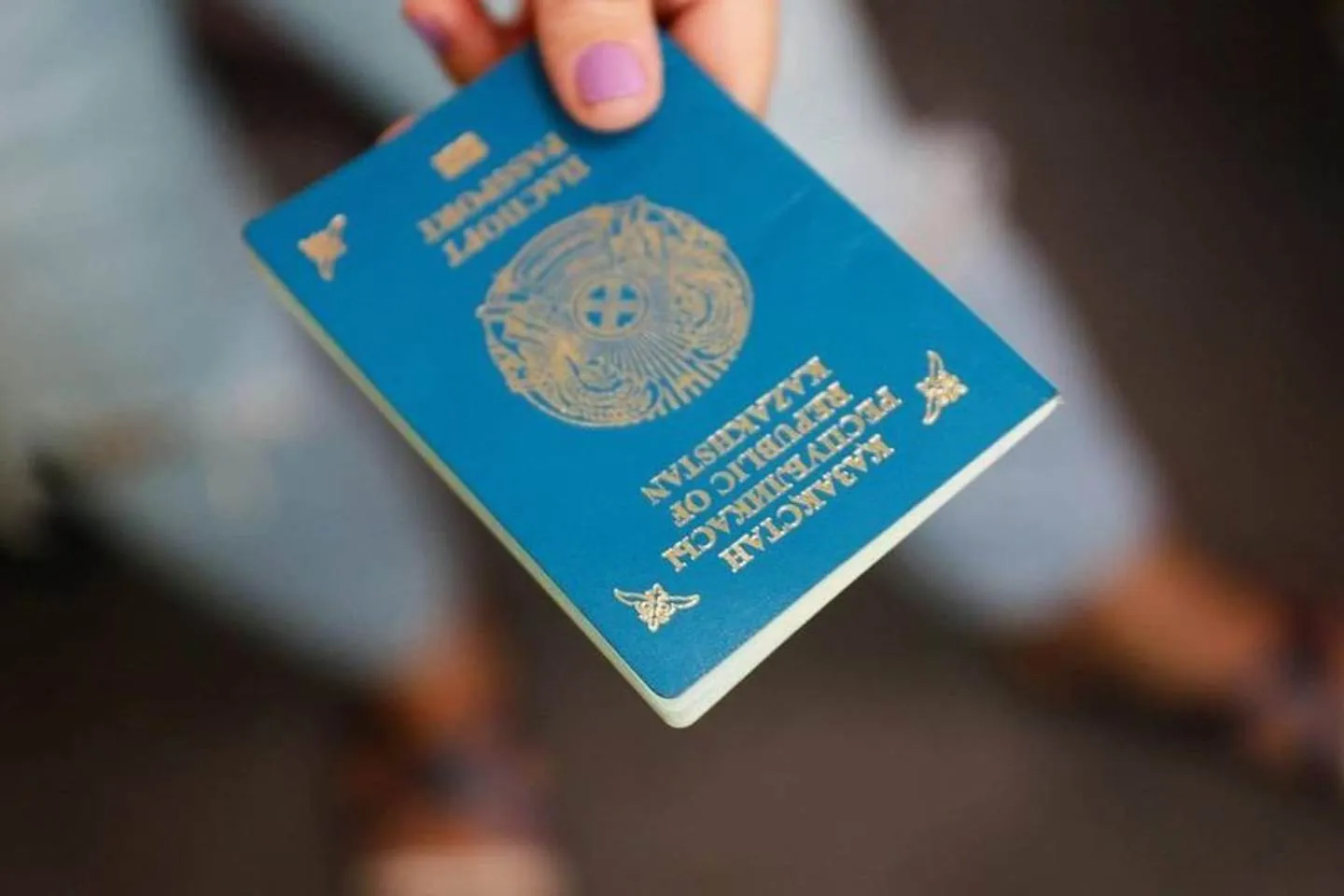 Происшествия в Казахстане и мире / Полсотни человек с двойным гражданством пытались пересечь границу РК