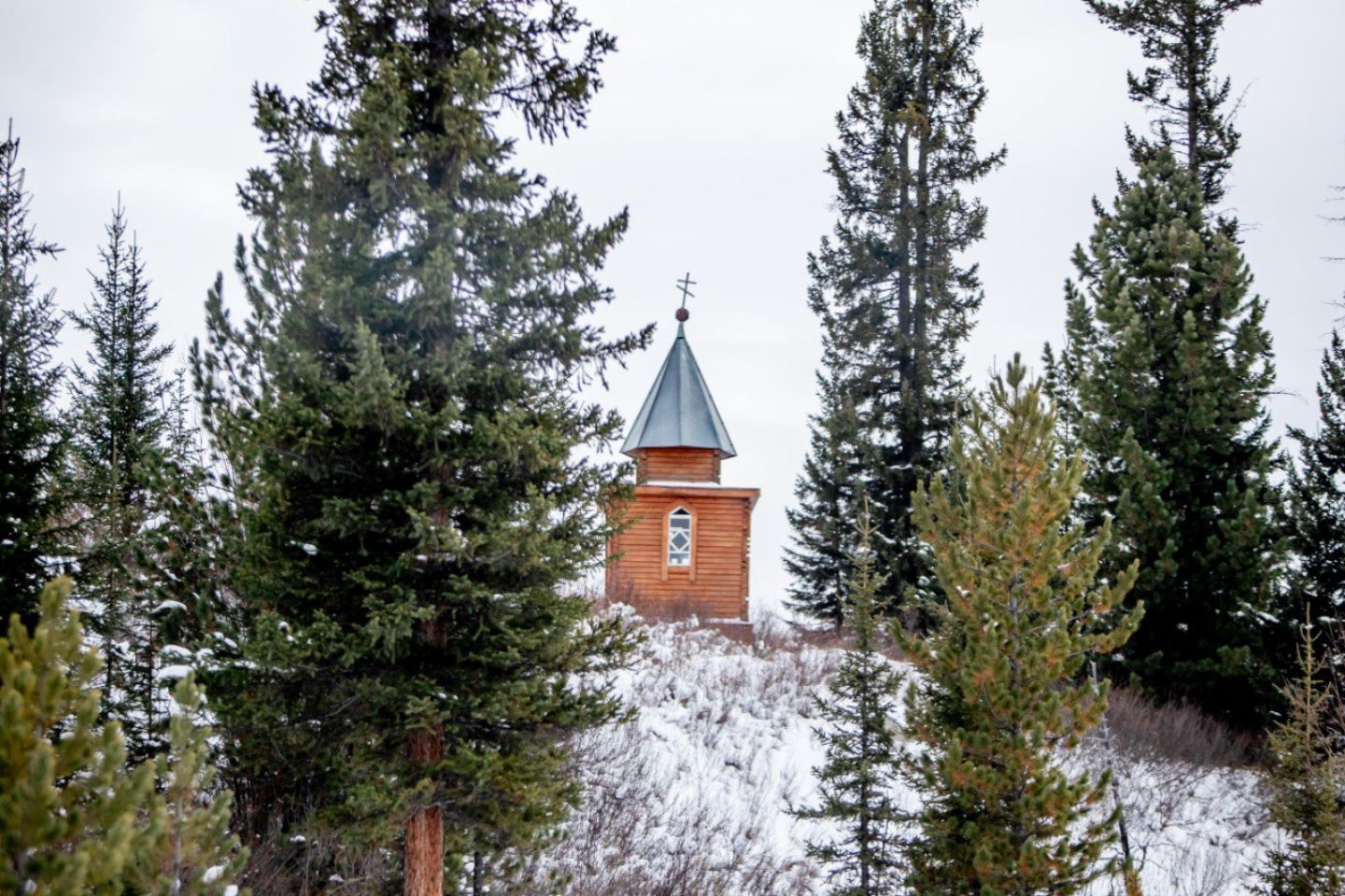 Усть-Каменогорск и ВКО / Там, где побеждает жизнь: чудо Катон-Карагайского национального парка