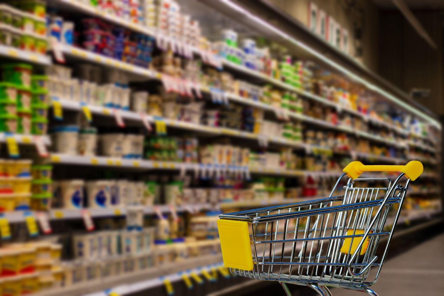 Новости Казахстана / Рост производства продуктов зафиксирован в Казахстане за январь–май 2025 года Новости Казахстана / Рост производства продуктов зафиксирован в Казахстане за январь–май 2025 года