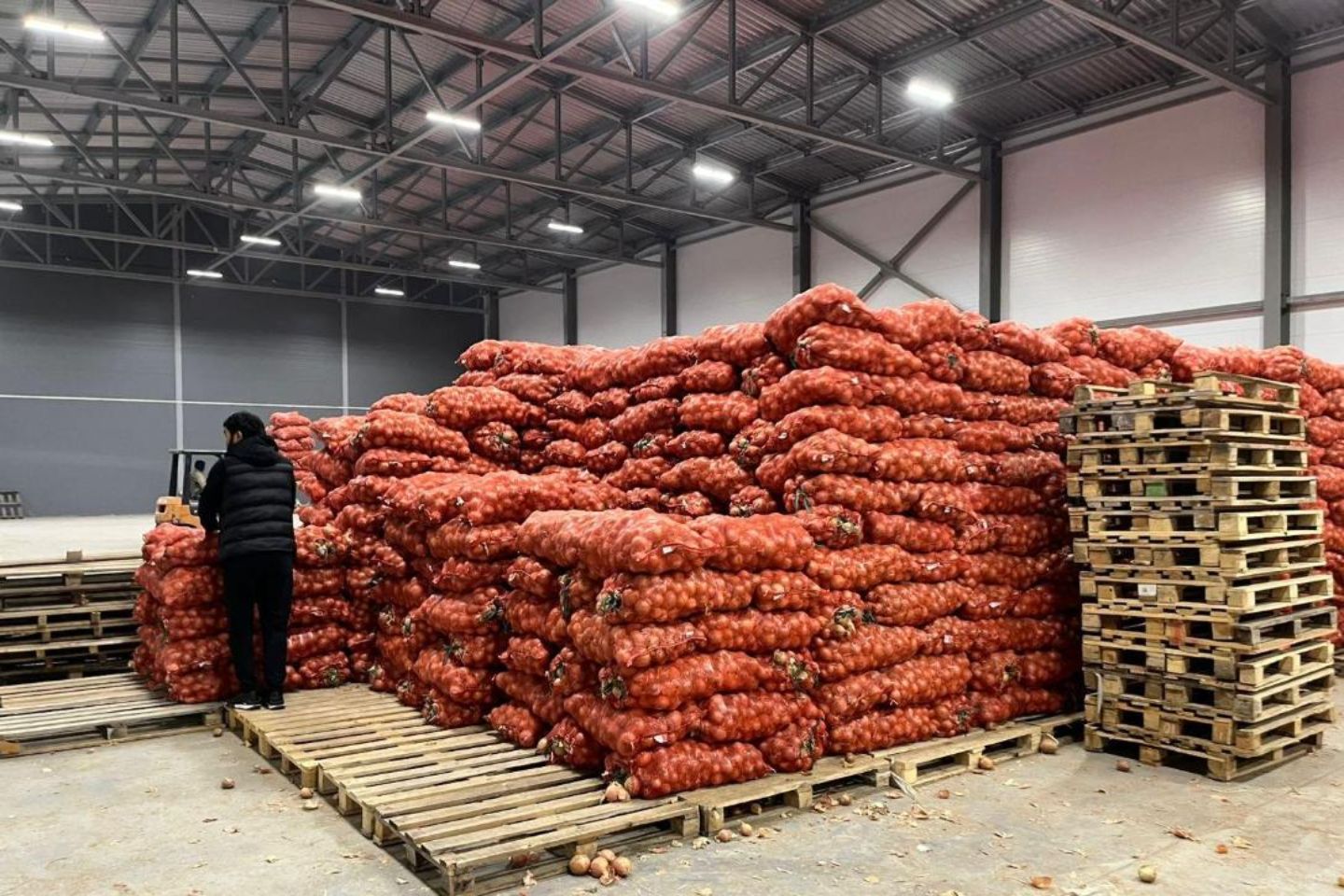 Новости Казахстана / В Актюбинской области направили 4,5 млрд миллиарда тенге на стабфонд продуктов Новости Казахстана / В Актюбинской области направили 4,5 млрд миллиарда тенге на стабфонд продуктов