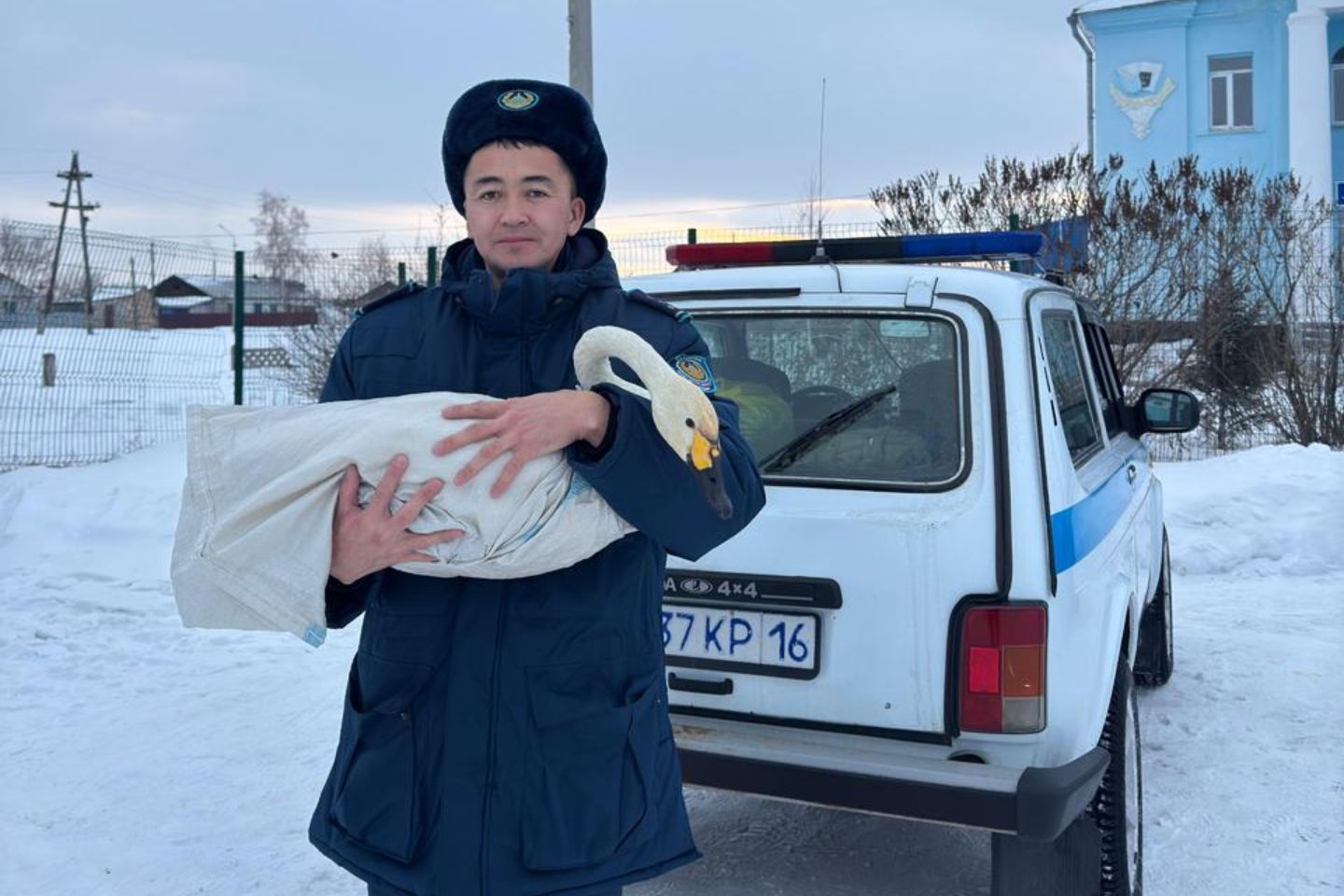 Усть-Каменогорск и ВКО / Полицейские спасли лебедя в Уланском районе Восточного Казахстана
