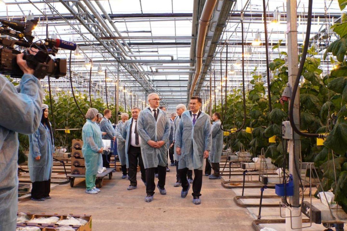 Усть-Каменогорск и ВКО / Делегаты ВКО изучили опыт выращивания огурцов, салата и хризантем в РФ Усть-Каменогорск и ВКО / Делегаты ВКО изучили опыт выращивания огурцов, салата и хризантем в РФ