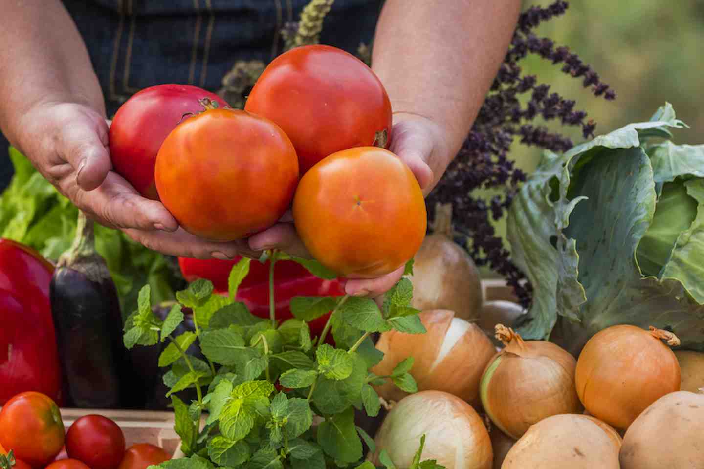 Новости Казахстана / Общество в Казахстане / Ярмарка сельхозпродукции пройдет в Астане Новости Казахстана / Общество в Казахстане / Ярмарка сельхозпродукции пройдет в Астане