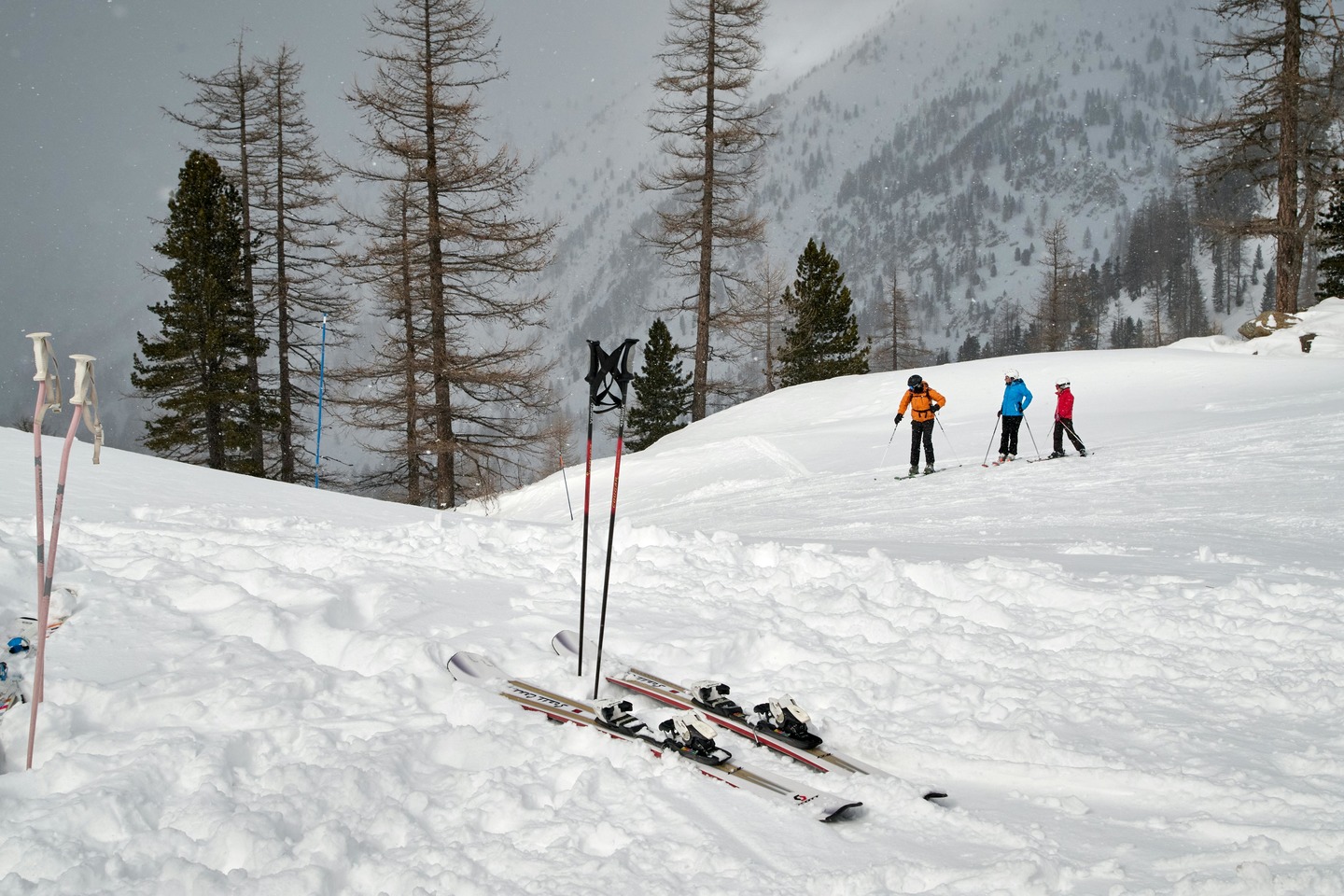 Усть-Каменогорск и ВКО / Бобровкада әуесқойларға арналған шаңғы жарысы өтеді