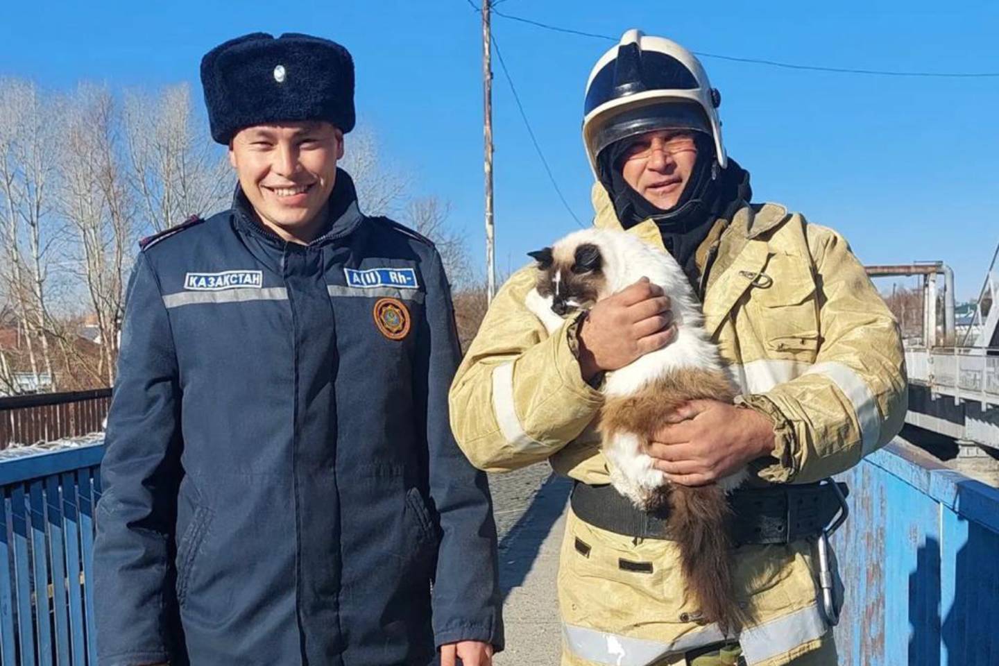 Усть-Каменогорск и ВКО / В Шемонаихе спасли кошку, залезшую под мост