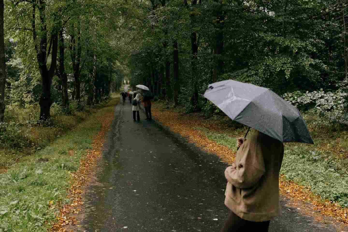 Новости Казахстана / Какая погода ожидает казахстанцев в ближайшие дни Новости Казахстана / Какая погода ожидает казахстанцев в ближайшие дни