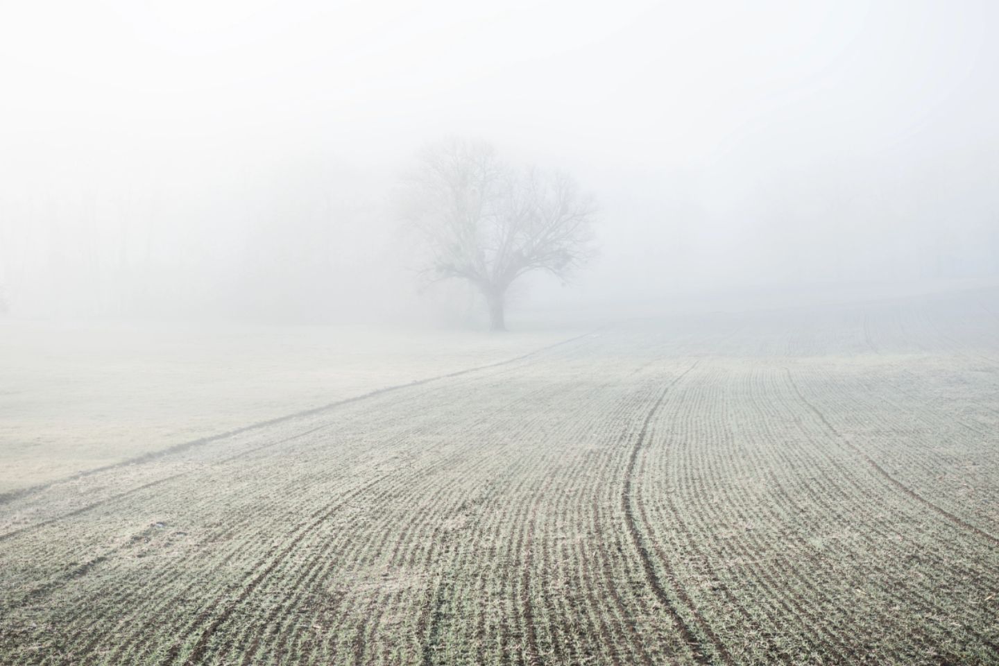Усть-Каменогорск и ВКО / Штормовое предупреждение объявили в ВКО Усть-Каменогорск и ВКО / Штормовое предупреждение объявили в ВКО