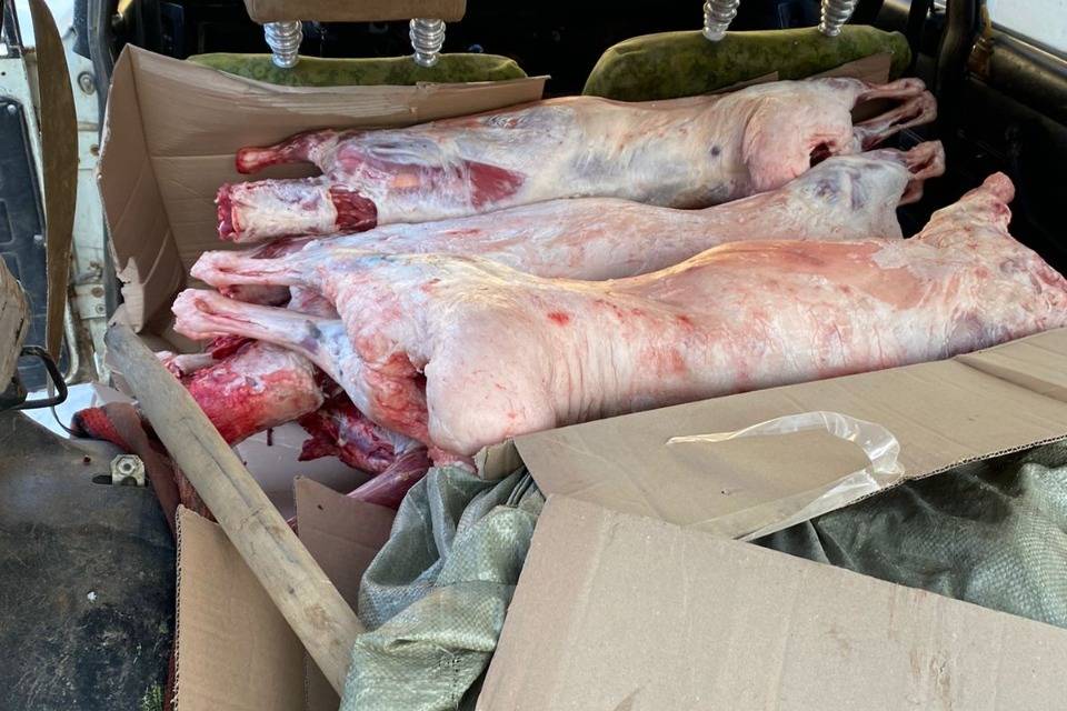 Усть-Каменогорск и ВКО / Полицейские провели рейд по выявлению фактов продажи краденого мяса в ВКО