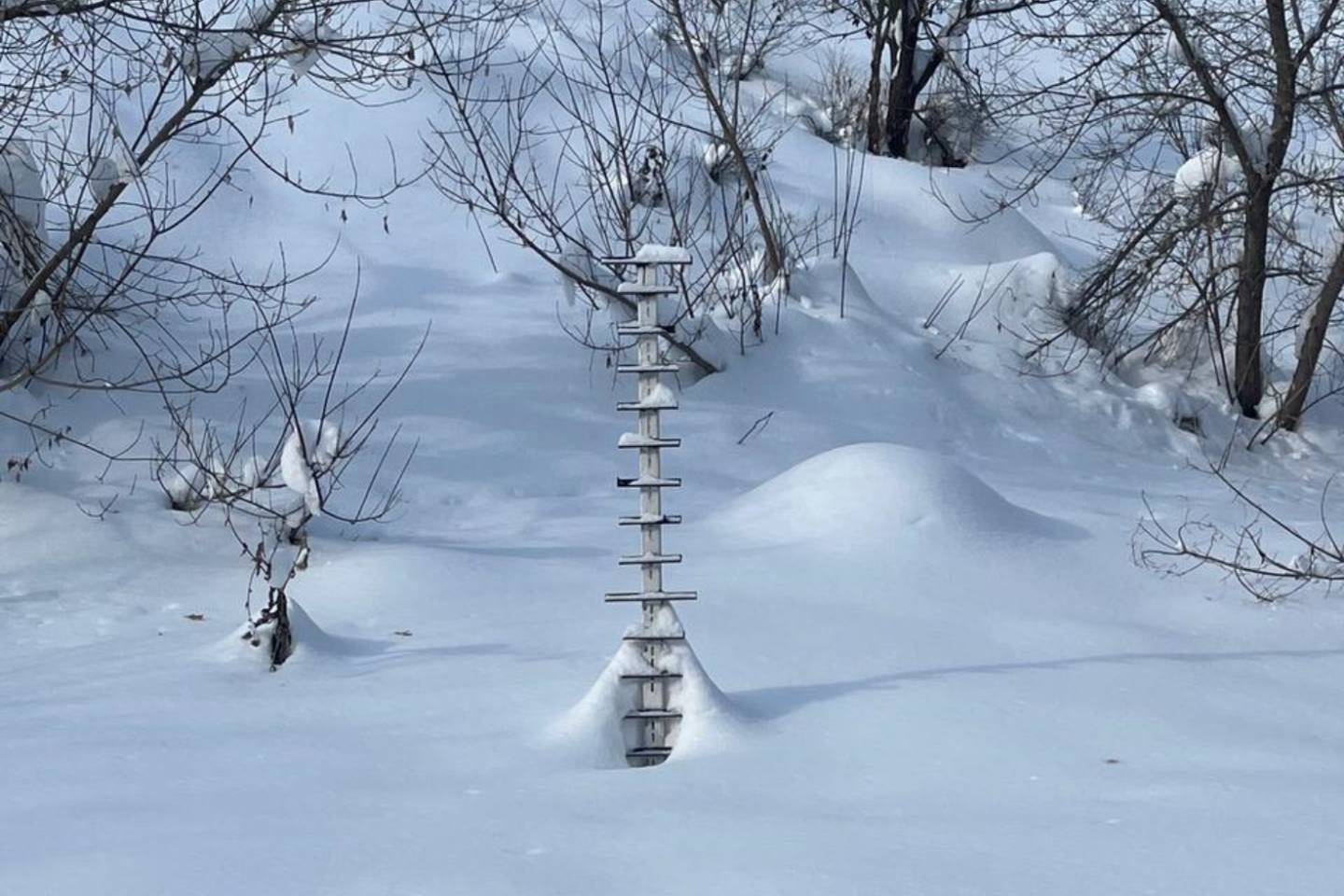 Усть-Каменогорск и ВКО / Об одной из главных опасностей зимнего отдыха напомнили спасатели ВКО