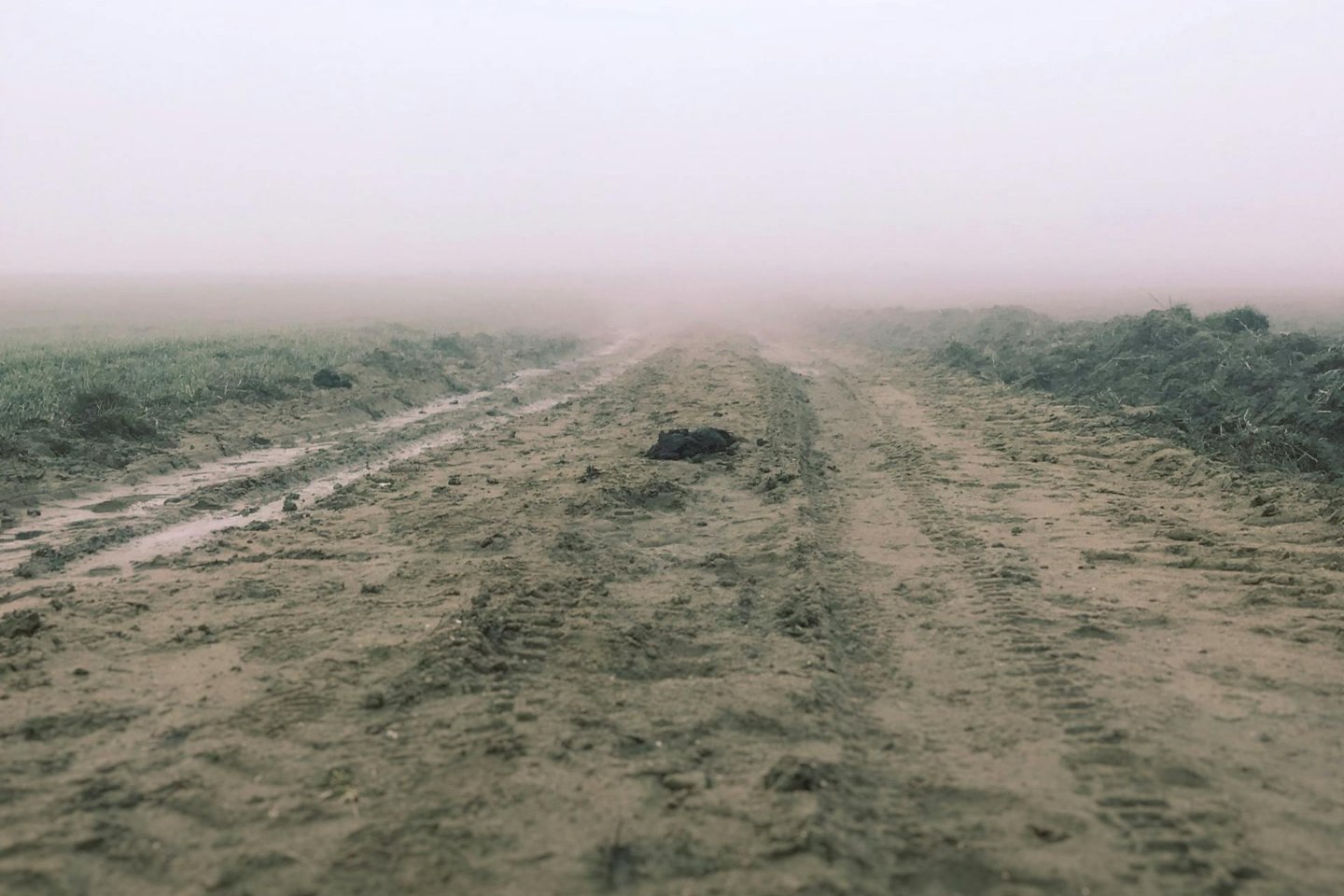 Новости Казахстана / Общество в Казахстане / На трассе между Кызылордой и Жезказганом застряли в грязи 75 автомашин