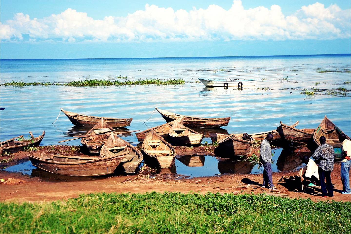 Новости мира / Интересные новости / Самолет из Танзании упал в озеро Виктория