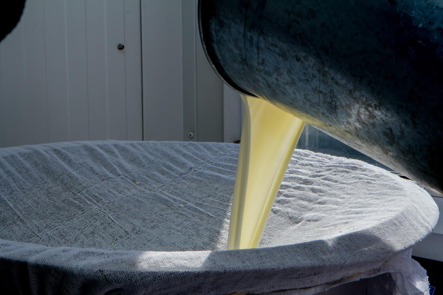 Усть-Каменогорск и ВКО / Өскеменде заманауи сүт өңдеу зауыты салынып жатыр