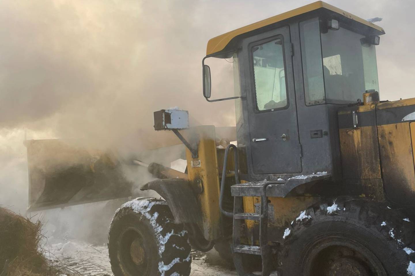 Усть-Каменогорск и ВКО / Пожарные совместно с сотрудниками лесхоза спасли 240 тонн корма скота в ВКО