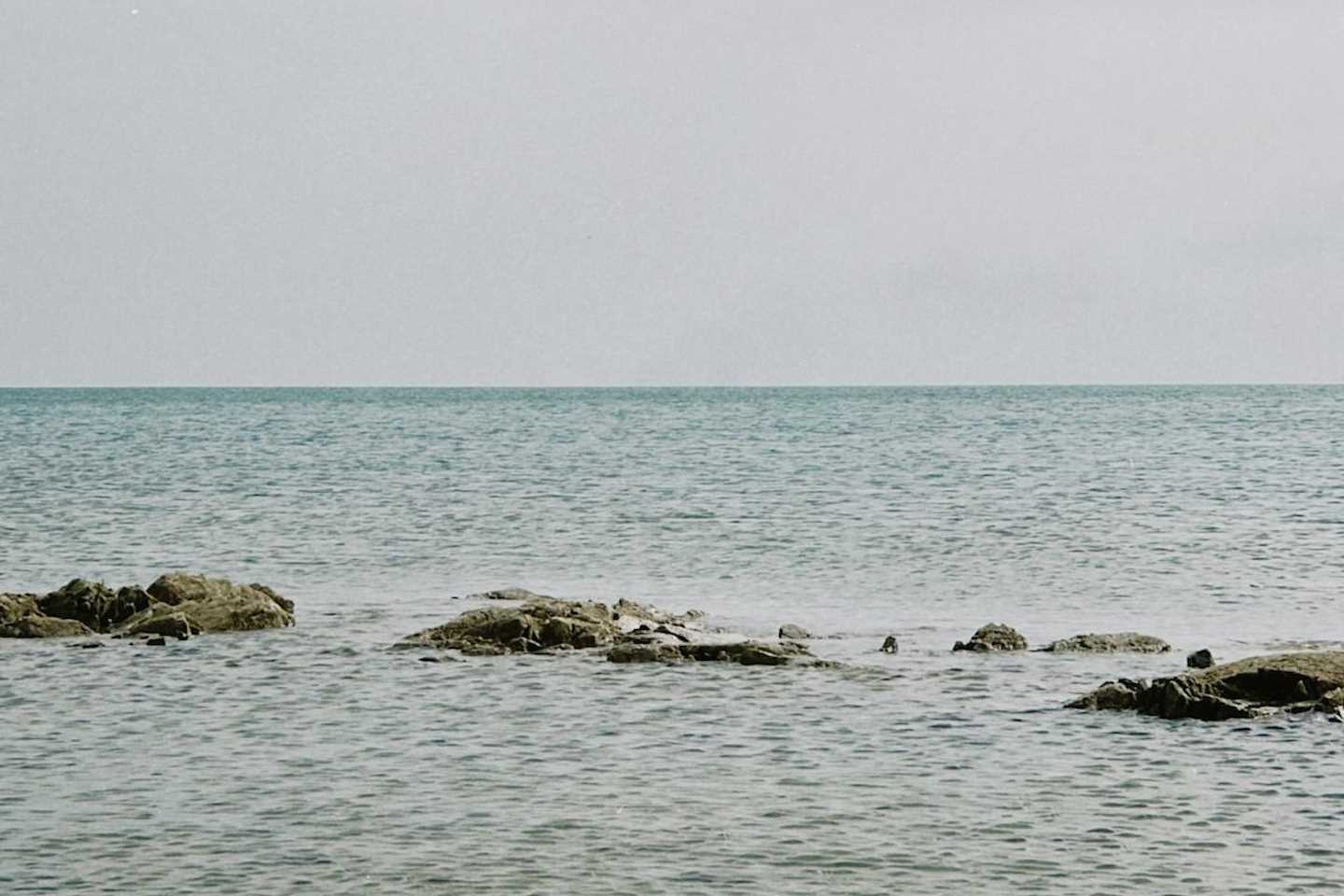 Новости Казахстана / Общество в Казахстане / Уровень воды в озере Балхаш удалось поднять до 341 метра