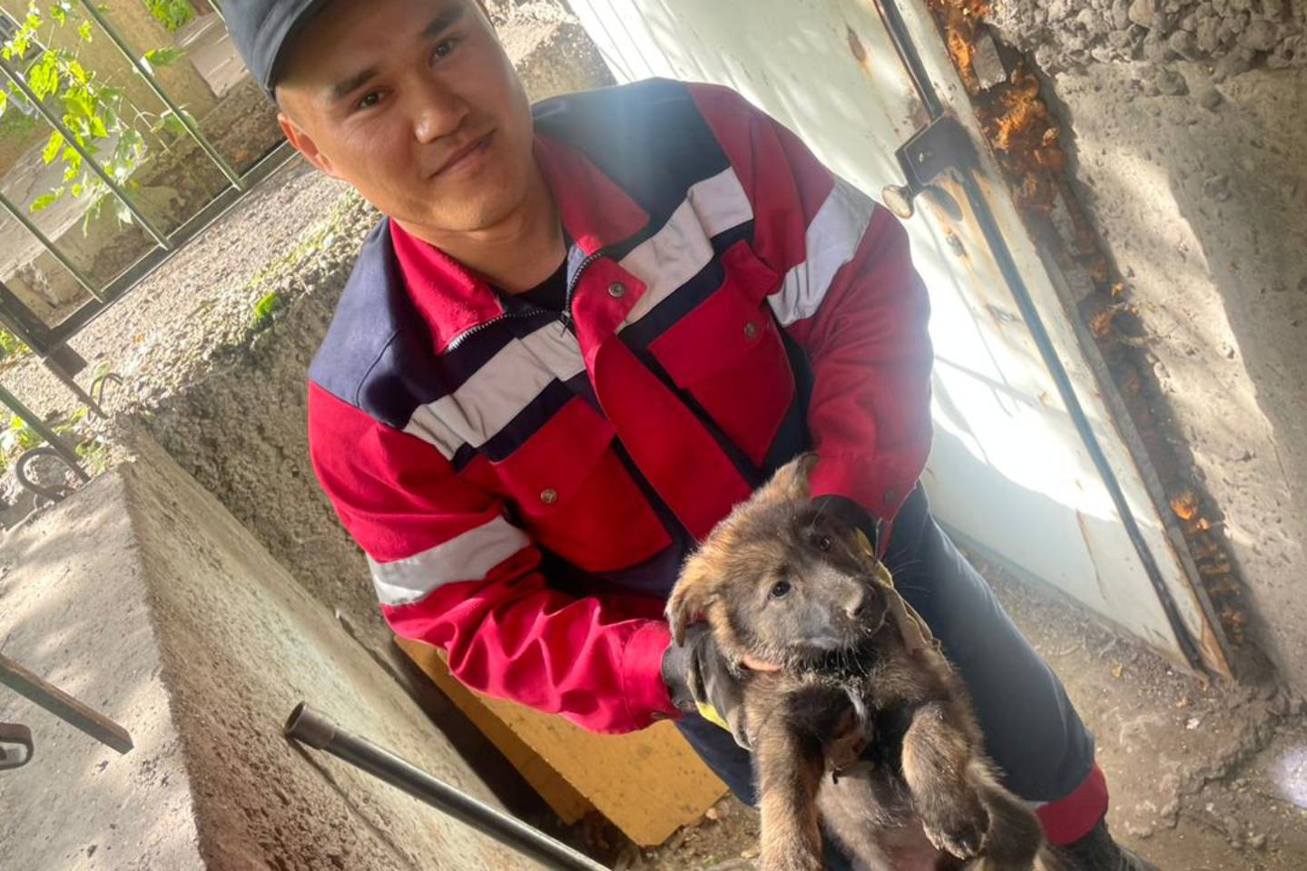 Усть-Каменогорск и ВКО / Спасатели пришли на помощь щенку в Усть-Каменогорске
