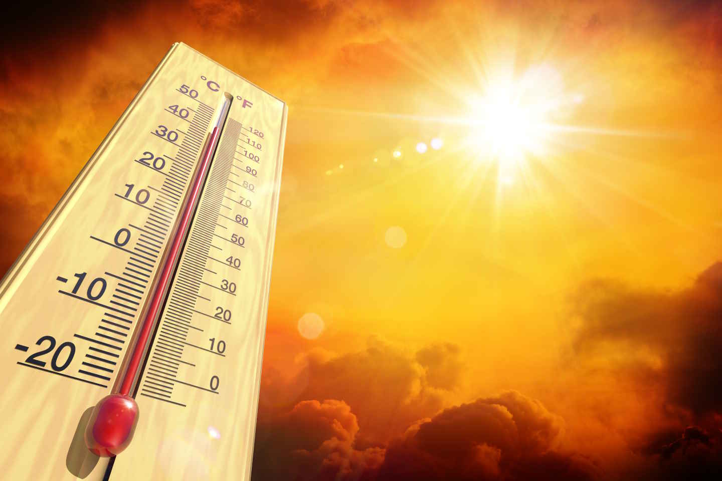 Новости мира / Интересные новости / Австралии угрожает экстремальная жара