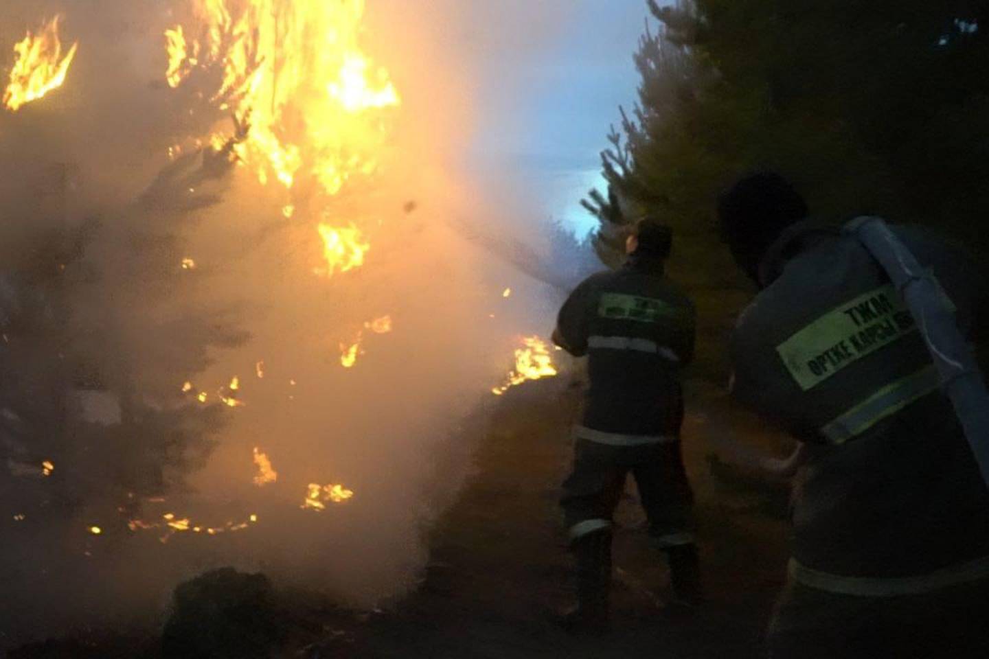 Происшествия в Казахстане и мире / ЧП в Казахстане и в мире / Режим ЧС объявили из-за лесного пожара в "Eртic орманы"