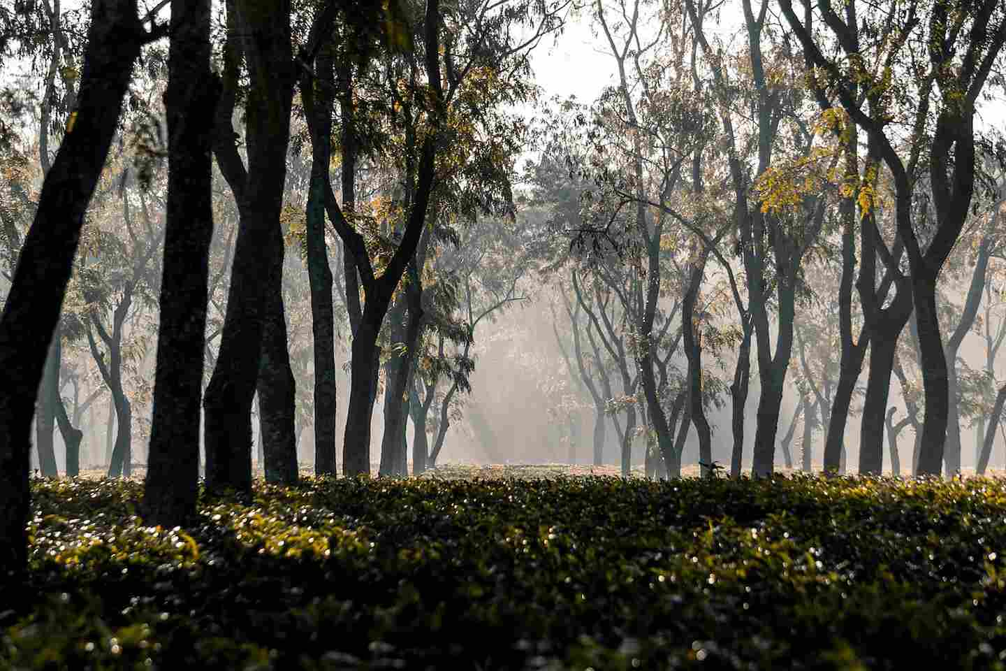 Новости Казахстана / Какая погода ожидает казахстанцев в эти выходные Новости Казахстана / Какая погода ожидает казахстанцев в эти выходные