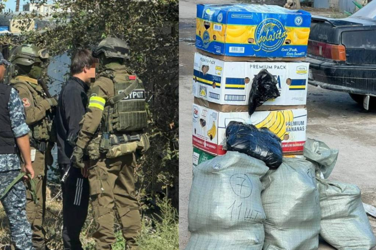 Новости Казахстана / В Мангистау изъяли 62 кг марихуаны и 32 млн тенге наличными Новости Казахстана / В Мангистау изъяли 62 кг марихуаны и 32 млн тенге наличными