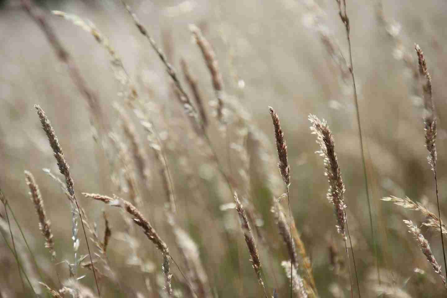 Новости мира / Политика в мире / В Пекине остановили последнюю угольную электростанцию