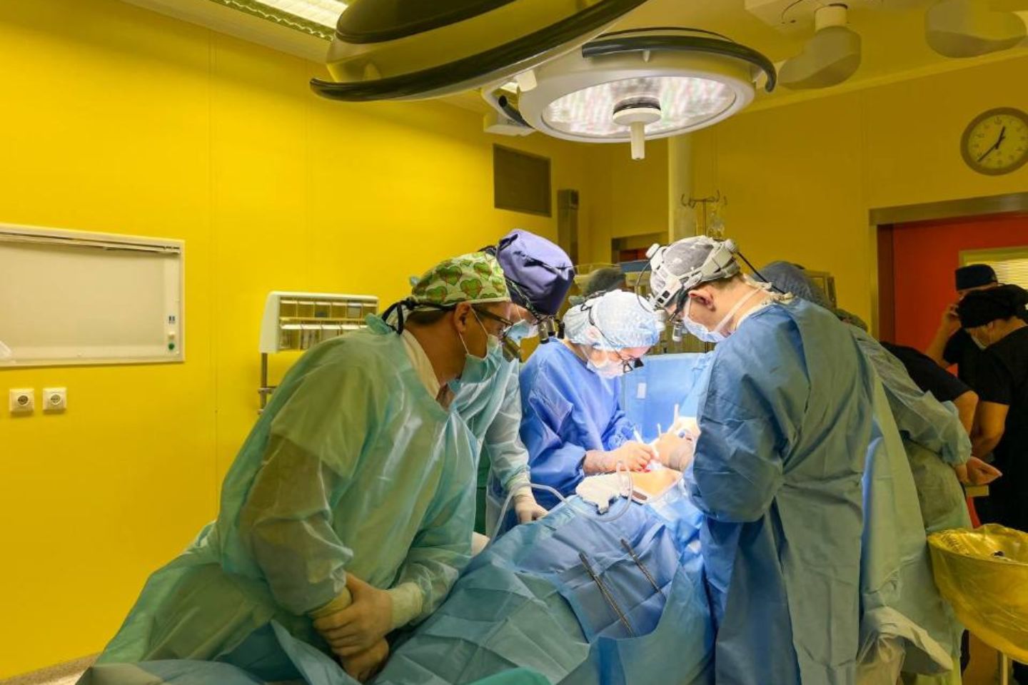 Новости Казахстана / В Алматинской области органы одного донора спасли жизни нескольких пациентов