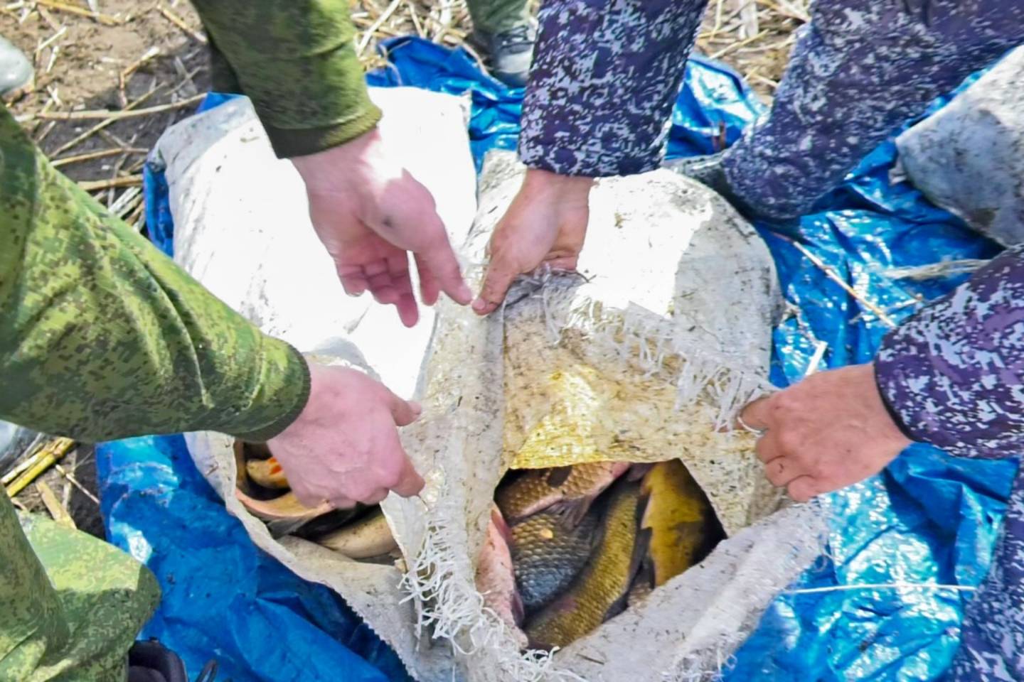 Происшествия в Казахстане и мире / Рыбаков оштрафовали более чем на более 2,5 миллиона тенге в ВКО