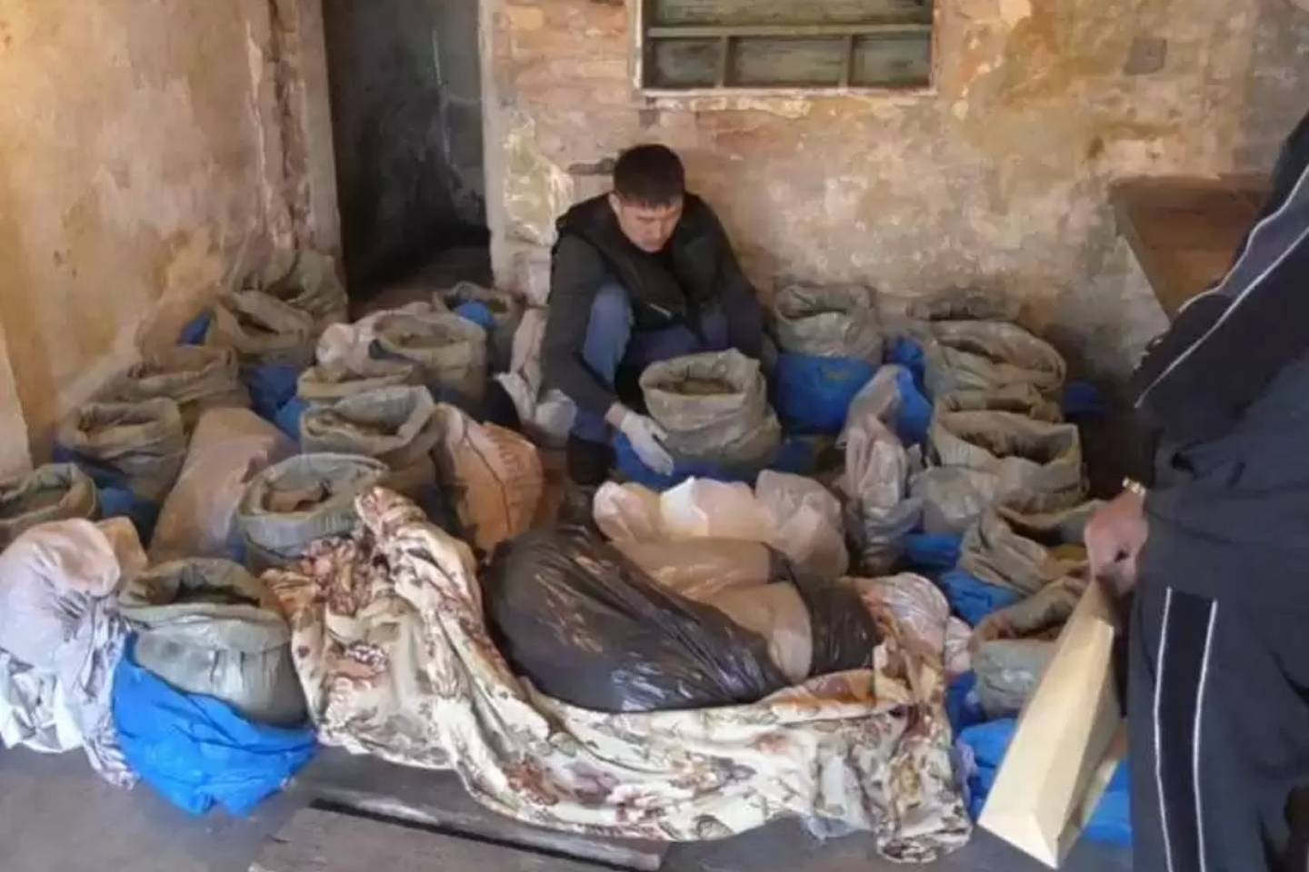 Происшествия в Казахстане и мире / Криминальные новости / Почти 130 килограммов наркотиков хранил в гараже житель Усть-Каменогорска