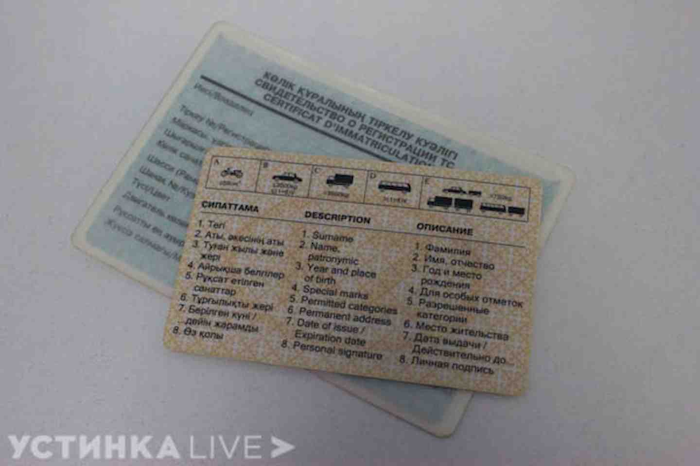 Новости Казахстана / Общество в Казахстане / Казахстанцы смогут оформлять водительские удостоверения онлайн