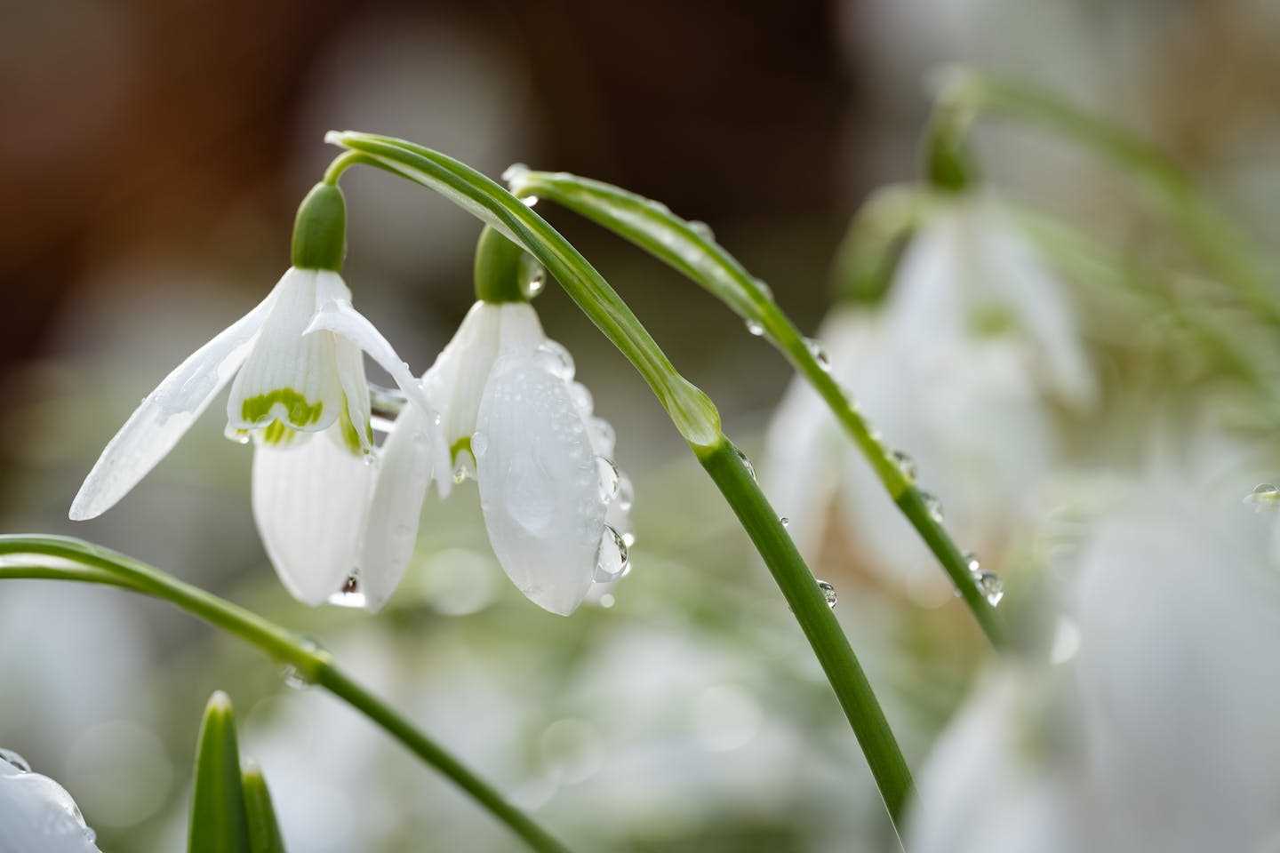 Новости Казахстана / Какая погода ожидает казахстанцев в эти выходные