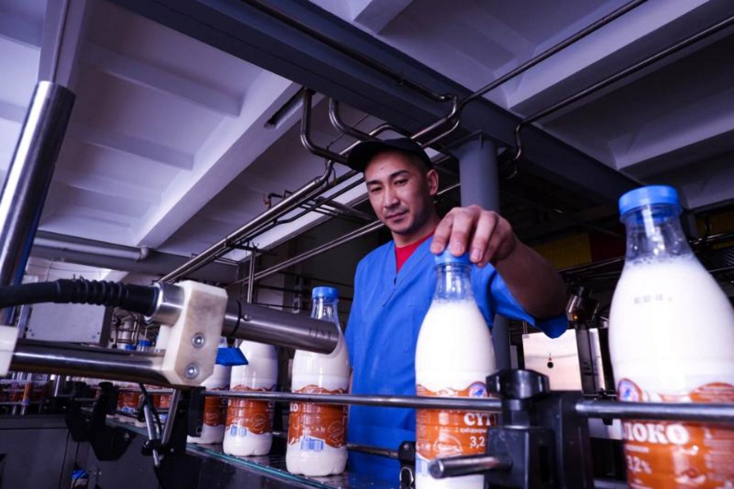 Новости Казахстана / Экономика в Казахстане / Производители молочной продукции РК просят государственной поддержки