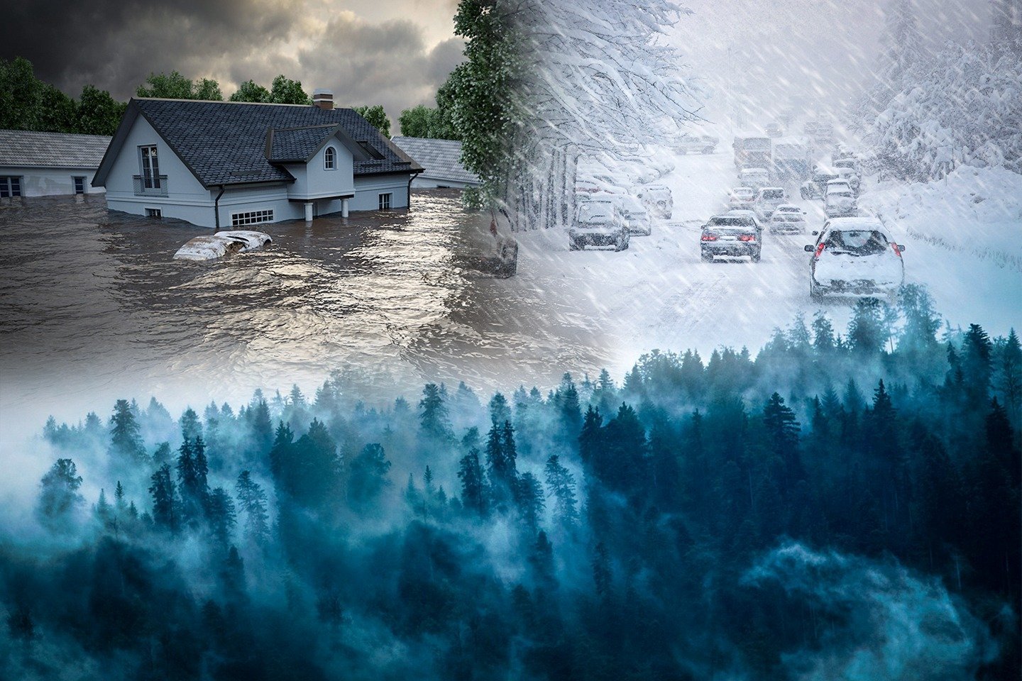 Происшествия в Казахстане и мире / Стихийные бедствия / Туман, наводнение, метель: в Германии, Таиланде и США бушуют стихии