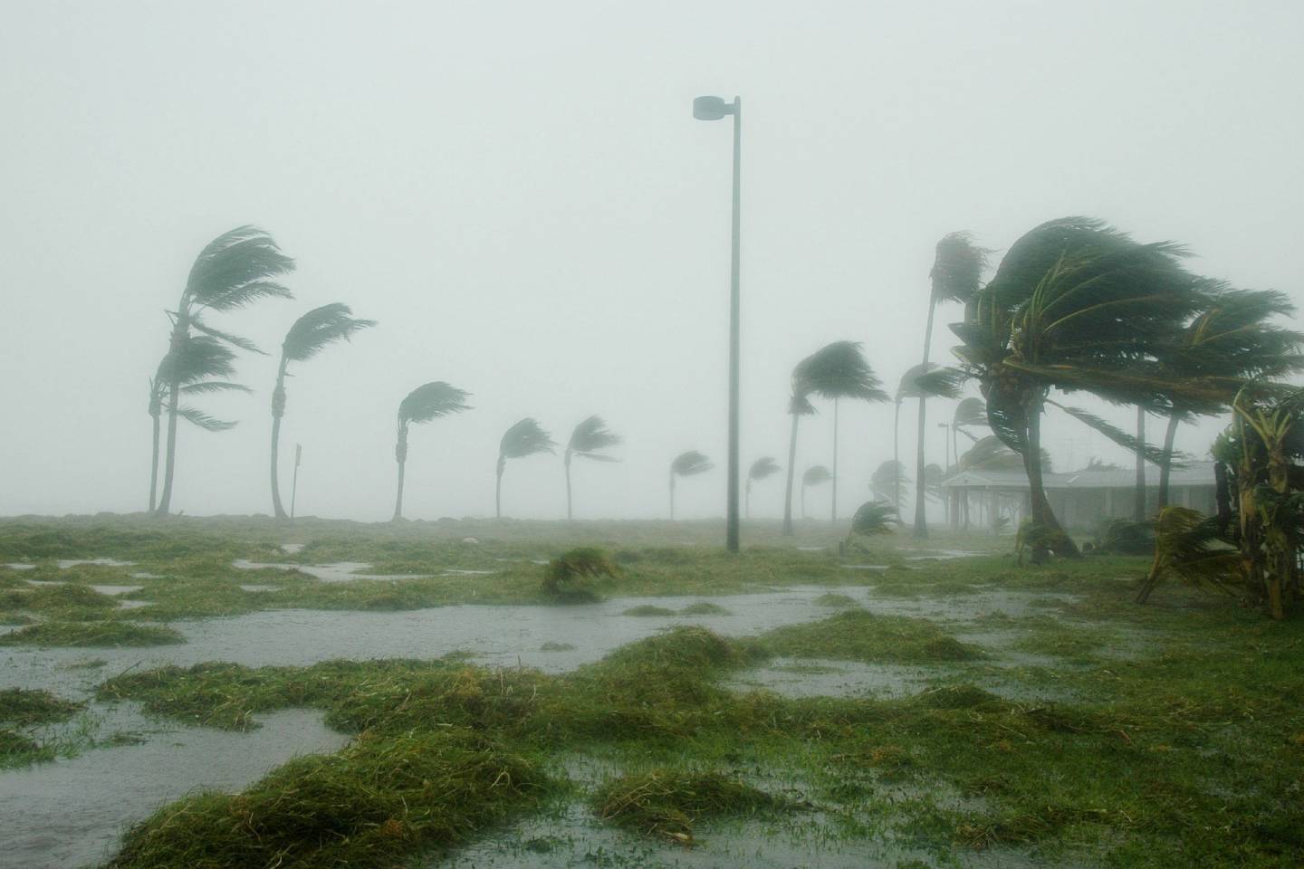 Новости мира / Интересные новости / Ураган "Иэн" признан чрезвычайно опасным