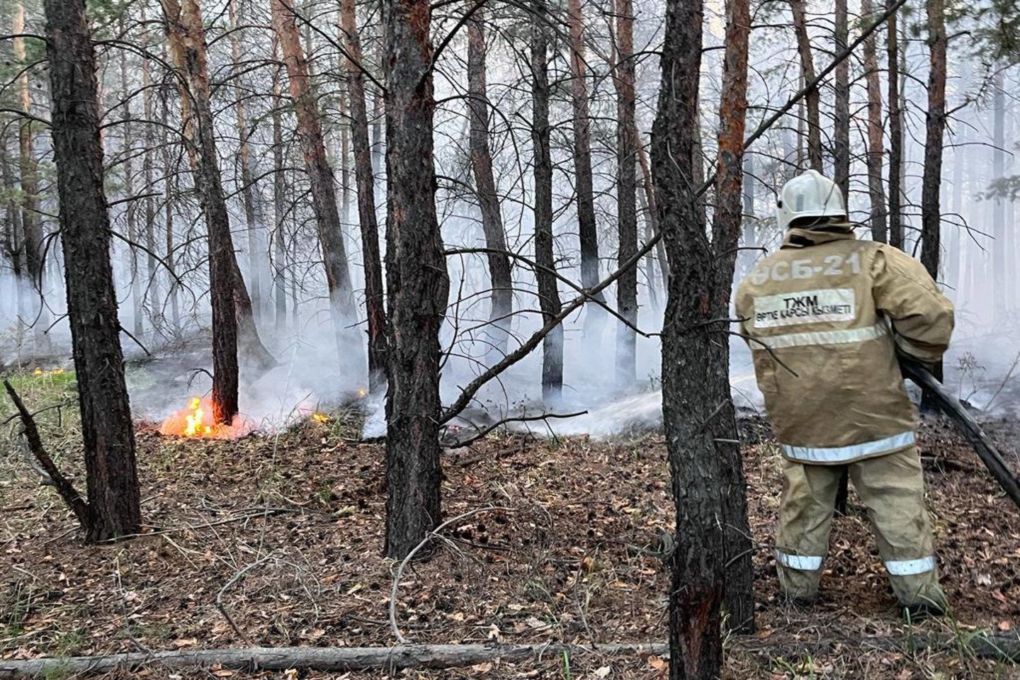 Новости Казахстана / Абай облысындағы өртті сөндіру үшін шет елдердің көмегі қажет пе?