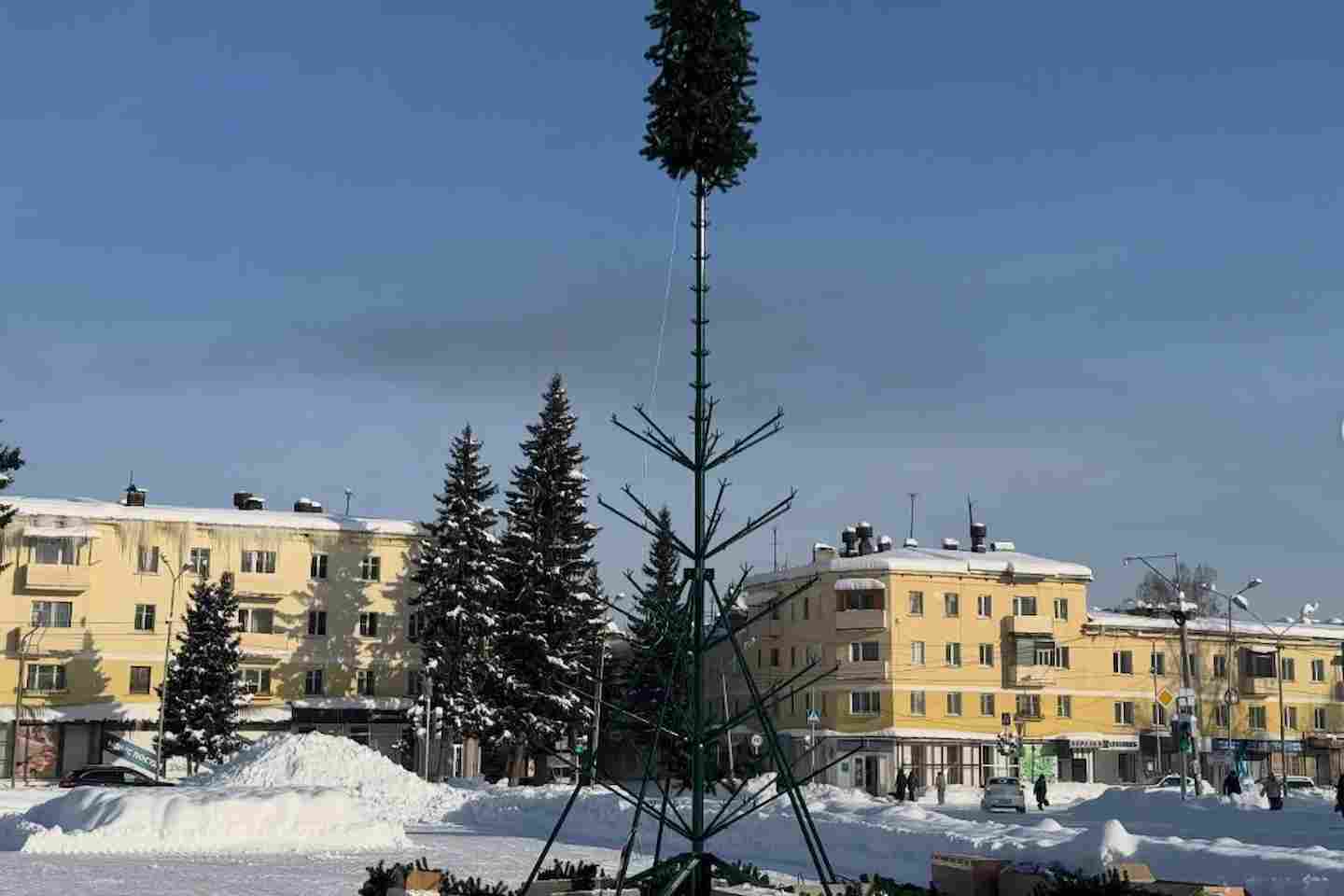Усть-Каменогорск и ВКО / Искусственную, но за 7 млн тенге: в Алтае впервые не будет живой новогодней елки Усть-Каменогорск и ВКО / Искусственную, но за 7 млн тенге: в Алтае впервые не будет живой новогодней елки