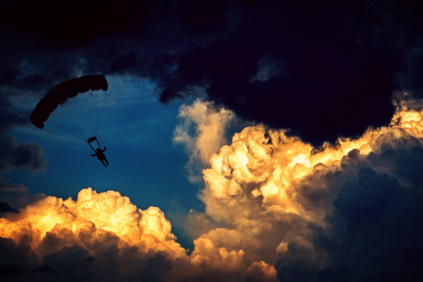 Новости Казахстана / С неба на землю в Жетису спустились парашютисты из шести стран мира Новости Казахстана / С неба на землю в Жетису спустились парашютисты из шести стран мира