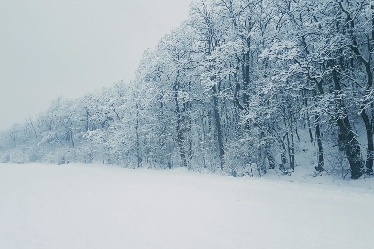 Усть-Каменогорск и ВКО / ШҚО-да дауылды ескерту жарияланды