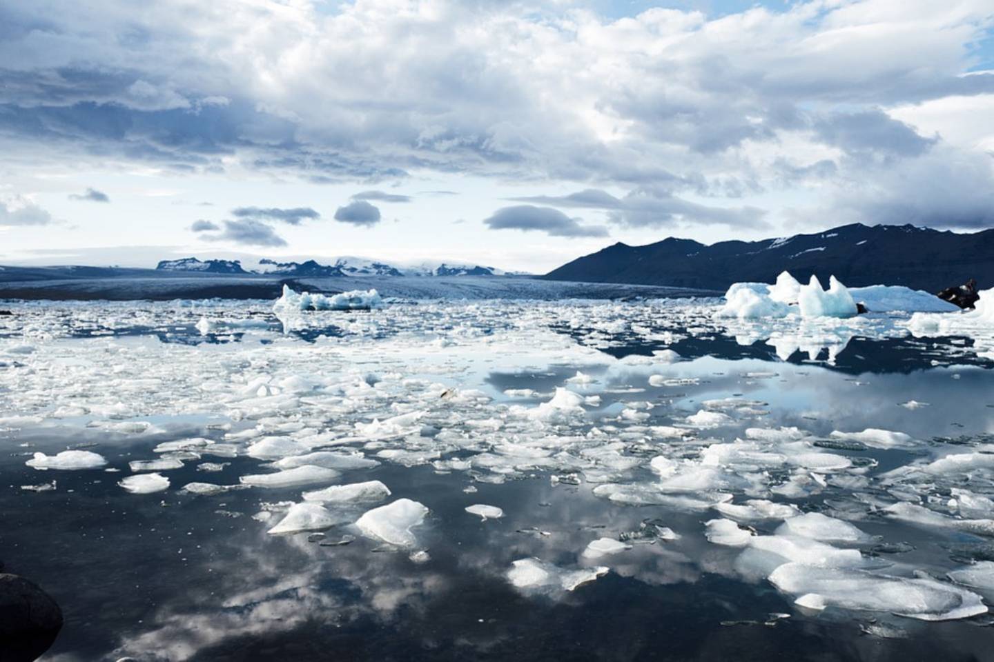 Новости мира / Интересные новости / Из-за климата в арктических озерах изменился состав воды