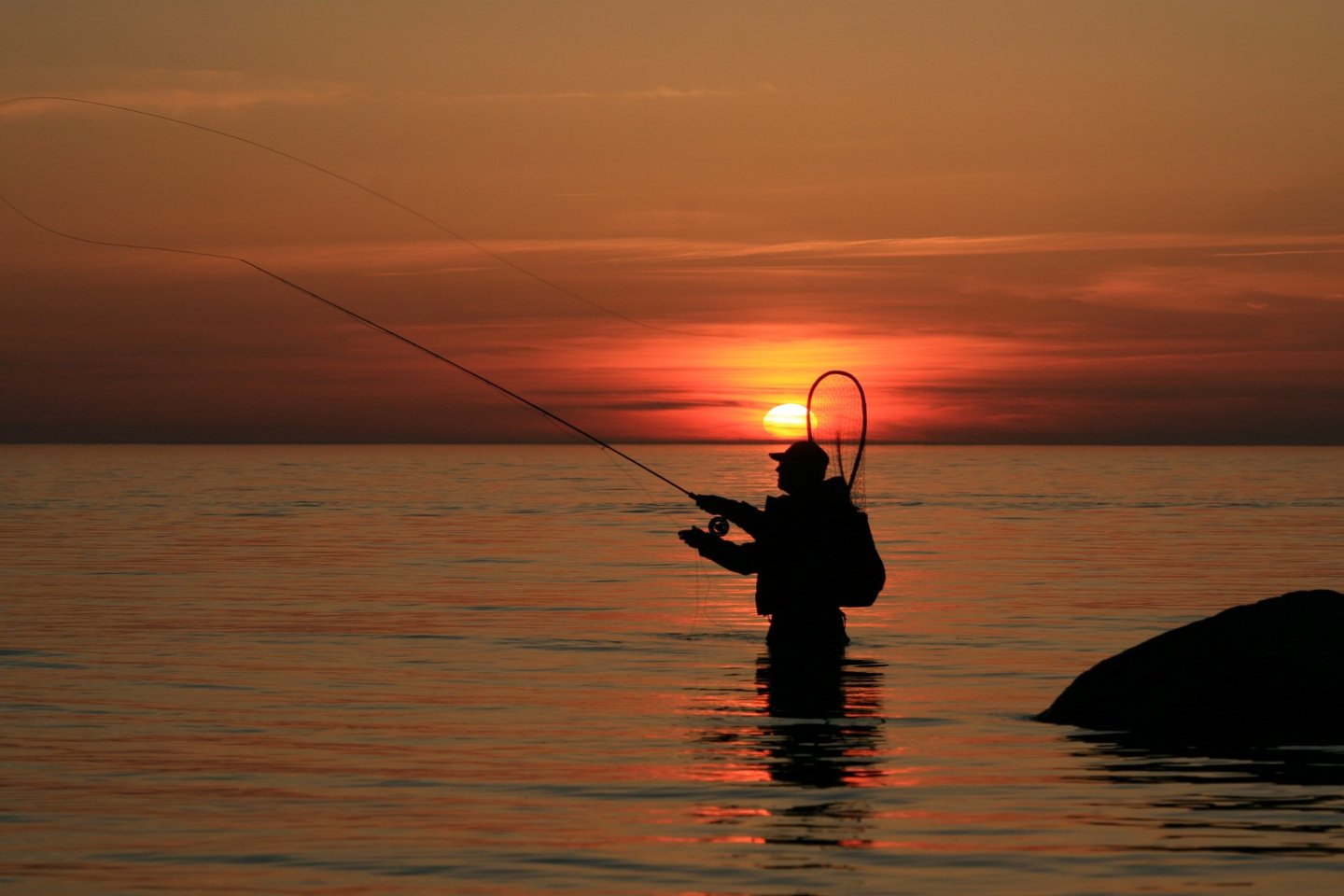 Усть-Каменогорск и ВКО / В ВКО с 10 қараша по 10 желтоқсан вводится запрет на ловлю сиговых рыб