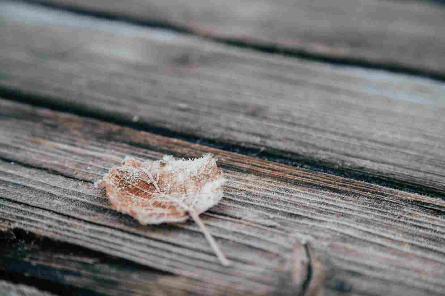 Новости Казахстана / Какая погода ожидает казахстанцев в ближайшие дни