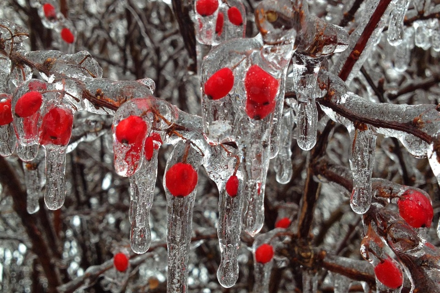 Усть-Каменогорск и ВКО / ШҚО-да ертең қар, жаңбыр жаууы мүмкін